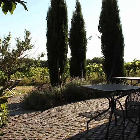 Appartement Weingut Freimuth Geisenheim