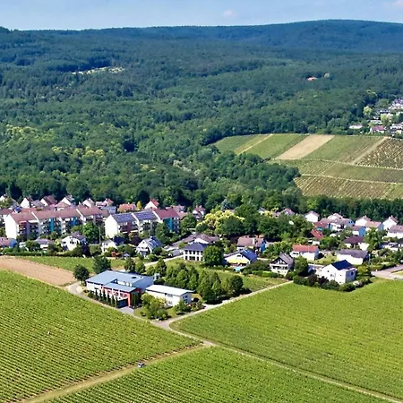 Weingut Freimuth *