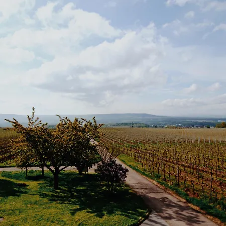 公寓 Weingut Freimuth 盖森海姆