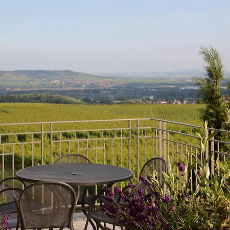 Weingut Freimuth