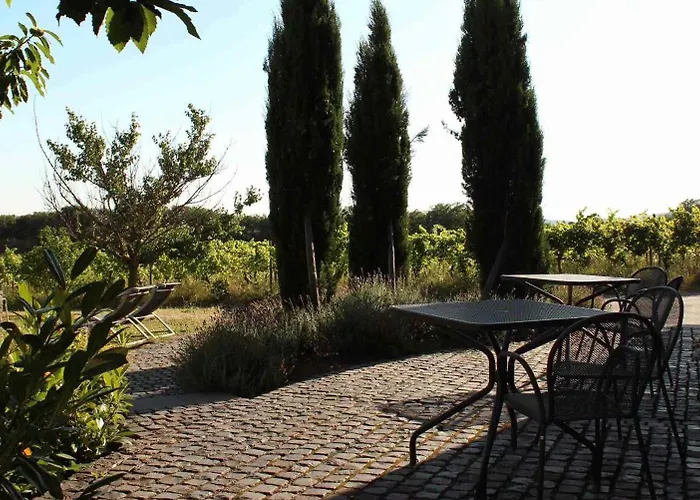 Appartement Weingut Freimuth Geisenheim