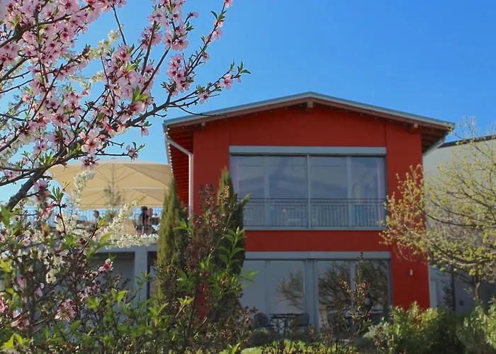 Weingut Freimuth Apartmán