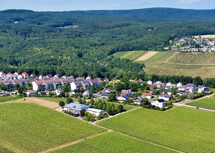 Weingut Freimuth *
