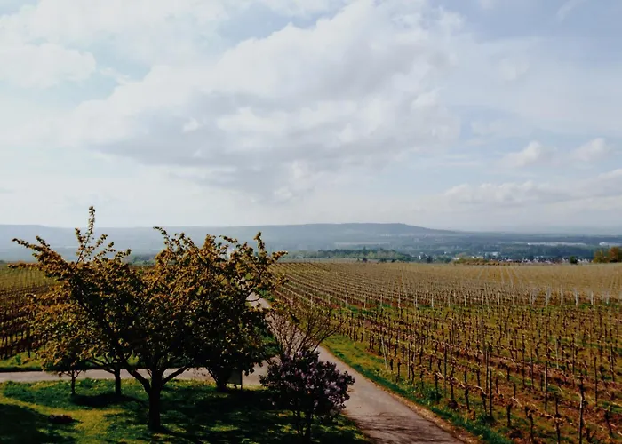 Apartmán Weingut Freimuth Geisenheim